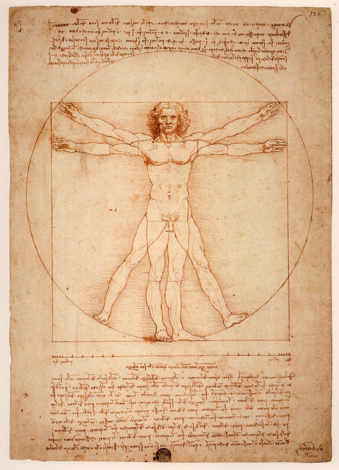Da Vinci's Historical Image of the Human Body
