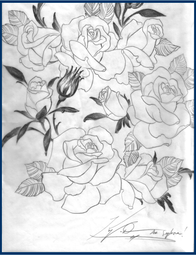 Kat von D sketch of roses for packaging design for her makeup line with Sephora