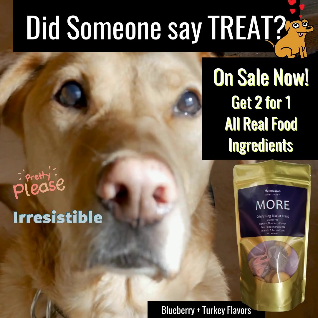 photo-2-for-1-treat-lab-close-up