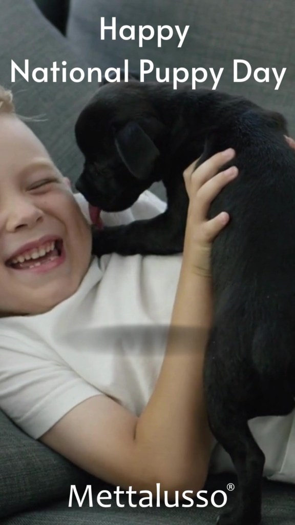 Mettalusso celebrates Happy National Puppy Day as the worlds first brand for people and pets.
