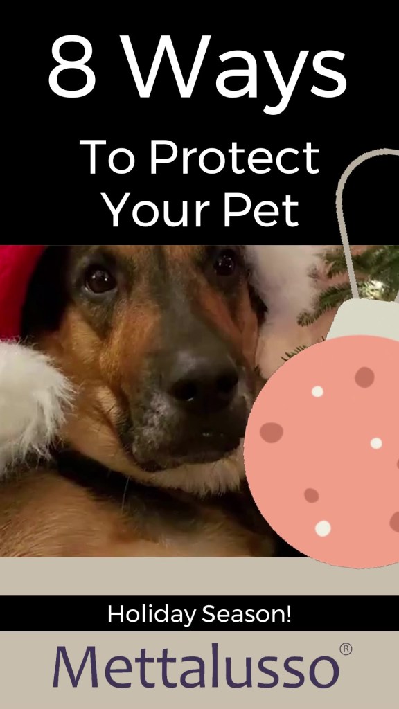 Mettalusso founder Christine C Oddo shares 8 easy tips to protect our pets this holiday season